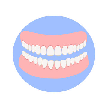 Gums with white teeth or dentures on the blue background, denture icon. Dental prosthesis, tooth orthopedics sign, teeth image, icon dental. Vector illustration in flat style.