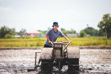 A Thai Asian woman driving a tiller to prepare for planting rice in the rice field.