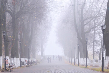 Park alley in the fog