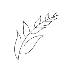 Vector abstract leaf illustration using for logo, wedding, stories, posters. Minimal modern leaves art. Doodle Leaves linear art. Botanical vector logo print.