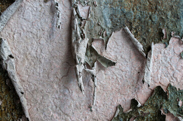 Old fading plaster wall texture, lack of maintenance, vintage background
