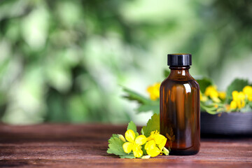 Bottle of celandine tincture and plant on wooden table outdoors, space for text