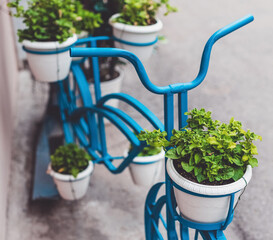 Flower bed bike with flowers retro style