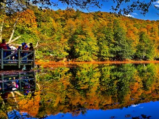autumn landscape with lake. Bolu Yedigöller/Turkey - obrazy, fototapety, plakaty