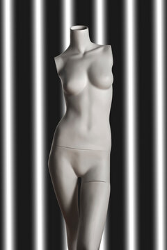 naked female mannequin with no arms on black and white grated background