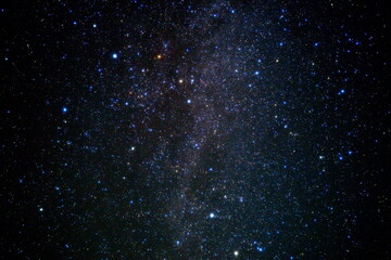 ミルキーウェイと木２