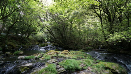 山奥のせせらぎ２