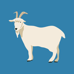 Goat vector hand drawn illustration in flat cartoon style.