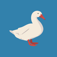 Goose vector hand drawn illustration in flat cartoon style