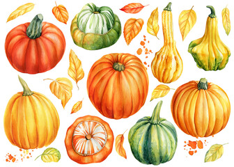 Set of Pumpkins and autumn leaves on isolated white background, watercolor illustration