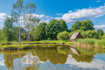 A wooden bath on the shore of a pond. Two birches at the pond.