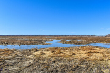 Cape Cod Beach
