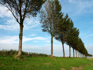 Fototapeta na wymiar Westdijk in Westbeemster, Noord-Holland Province, THe Netherlands