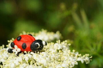 A figure of a ladybug on white blooming wildflowers.