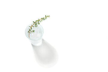 Glass of cold water and thyme. Seen from above. White background.