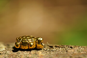 A small figure of a turtle on a colored background.