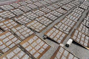 漁港のたたみいわし