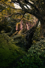 petrópolis cidade imperial caminho do ouro estrada real