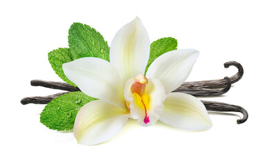 Fototapeta na wymiar Vanilla beans and mint leaves isolated on white background