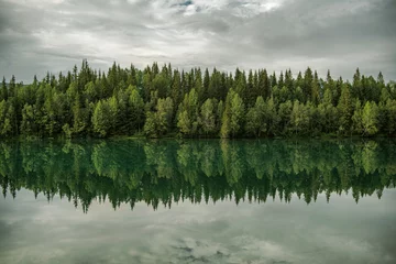 Raamstickers Meer en bosgrens schilderachtige natuur © Tomasz Zajda