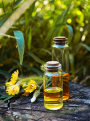 Several glass bottles with oil and essence on a natural background, a banner for alternative medicine, a copy of the space of a medicine from nature