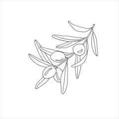 A set of olives drawn in a vector