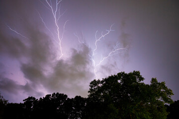 Lightning Over Trees 