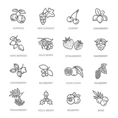 Outline icons set in thin modern design style, flat line stroke vector symbols - berry collection
