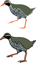 ヤンバルクイナ