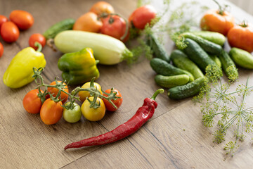 harvest of vegetables on the table