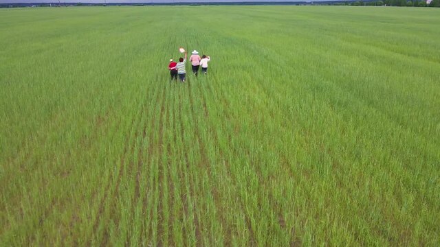 A happy family is running amicably and cheerfully on a green field. Friendly family vacation, nature hike from a bird's eye view. People spend their time in the open air carefree. There is copy space