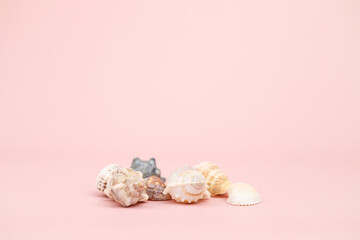 A lot of different sea shells on pink background. Empty place to display product packaging. Showcase mockup. Cosmetics product advertising backdrop.