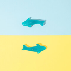Two blue fish gummy candies on yellow and pastel blue background. Minimal food concept. Creative layout with unny day shadows. Flat lay.