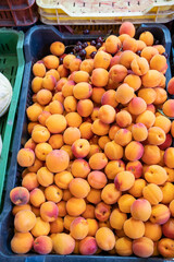 A box with fresh nectarine fruit