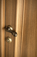 Wooden door. Wooden door with decorative bronze handle.