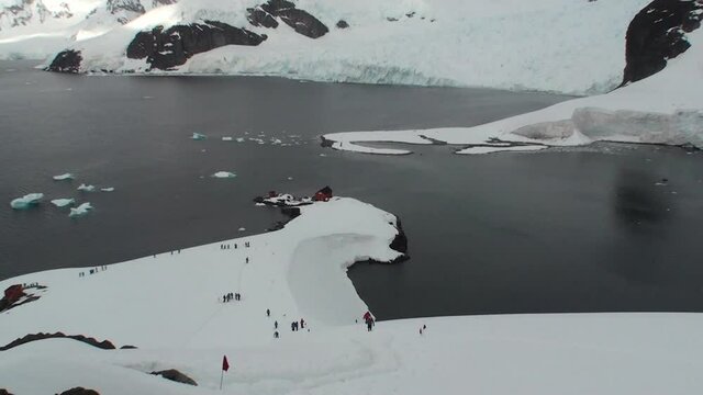 Antarctica. There are a lot of penguins resting on the rocks at Hope Bay. Antarctic Peninsula.