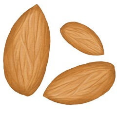Watercolor illustration almond nuts. Hand draw delicious ingredient. Cartoon seed. Logo design vegetarian and pastry shop. Food breakfast. Traditional ingredient 