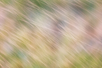 Water in Motion from Sprinkler