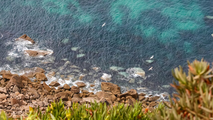 Aerial view of seagulls flying above the sea next to the cliff.