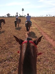 cowboy riding horse