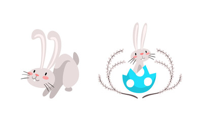 Funny Easter Bunny with Long Ears and Grey Coat Sitting in Cracked Egg Shell Vector Set