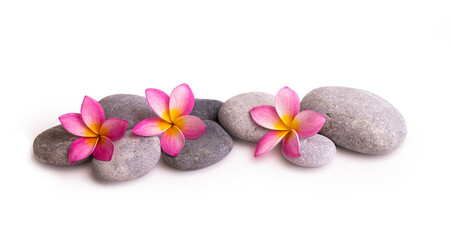 Fototapeta na wymiar Pebbles and frangipani flowers isolated on white
