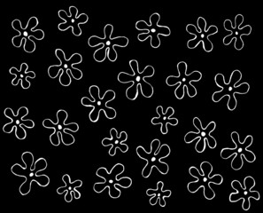 white flowers on a black background - a graphic image