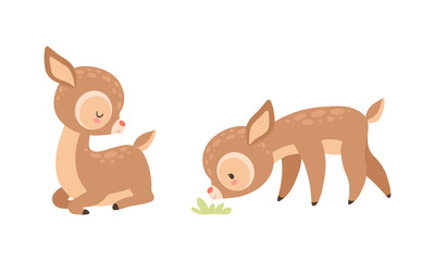Fototapeta premium Cute Baby Deer with Spots as Adorable Hoofed Mammal Sitting and Smelling Grass Vector Set