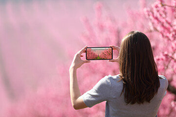 Woman taking photo with a smart phone in spring in a field