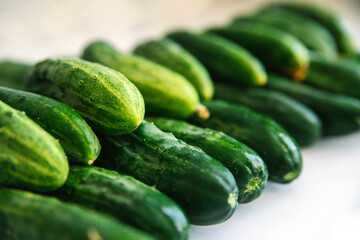 Background of green fresh cucumbers. Cucumbers lie exactly in a row on a white background. Agricultural industry.