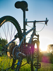 Fototapeta na wymiar bicycle on grass sunrise golden hour portrait