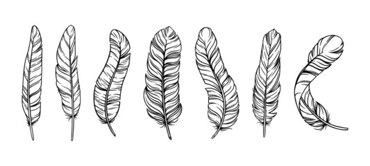 Feathers in boho vintage style. Set of tribal bird feathers isolated in white background. Hand drawn vector illustration