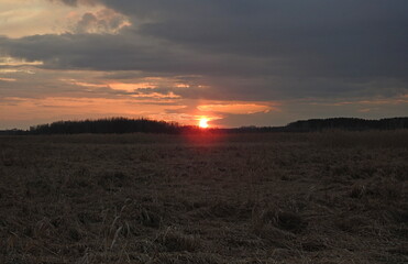 Fototapeta premium zachód słońca