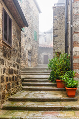 Staircase in a alley with green plants in pots